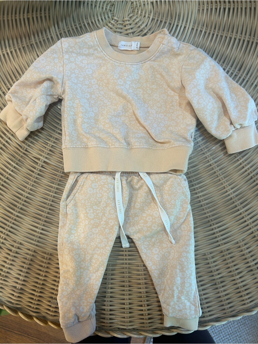 Jamie Kay Cream Floral Sweatshirt & Jogger Set 3/6 month